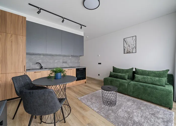 Didlaukio 67A Studio Apartment